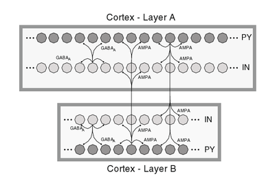 Schematic of Self-sustaining Cortical Network showing Up and Down States