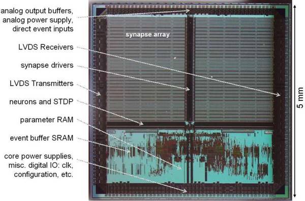 Membrane Trace Comparison