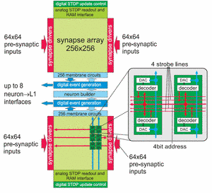 Main elements of the ANNCORE